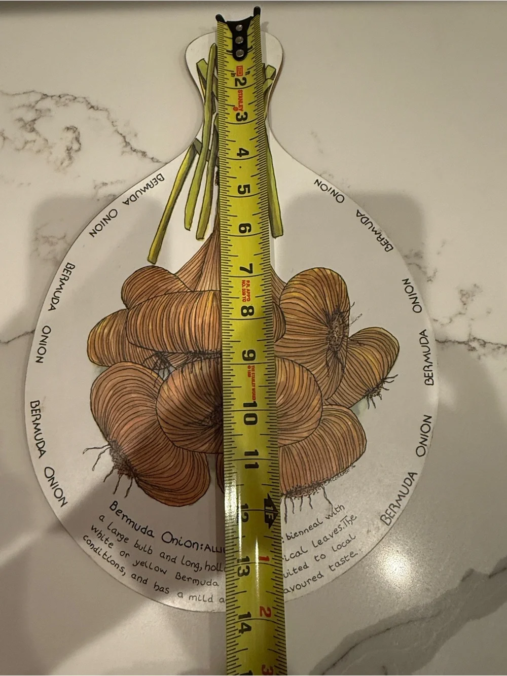 Vintage Melamine and Wood Wall Decor ,Pie Plate , Trivet